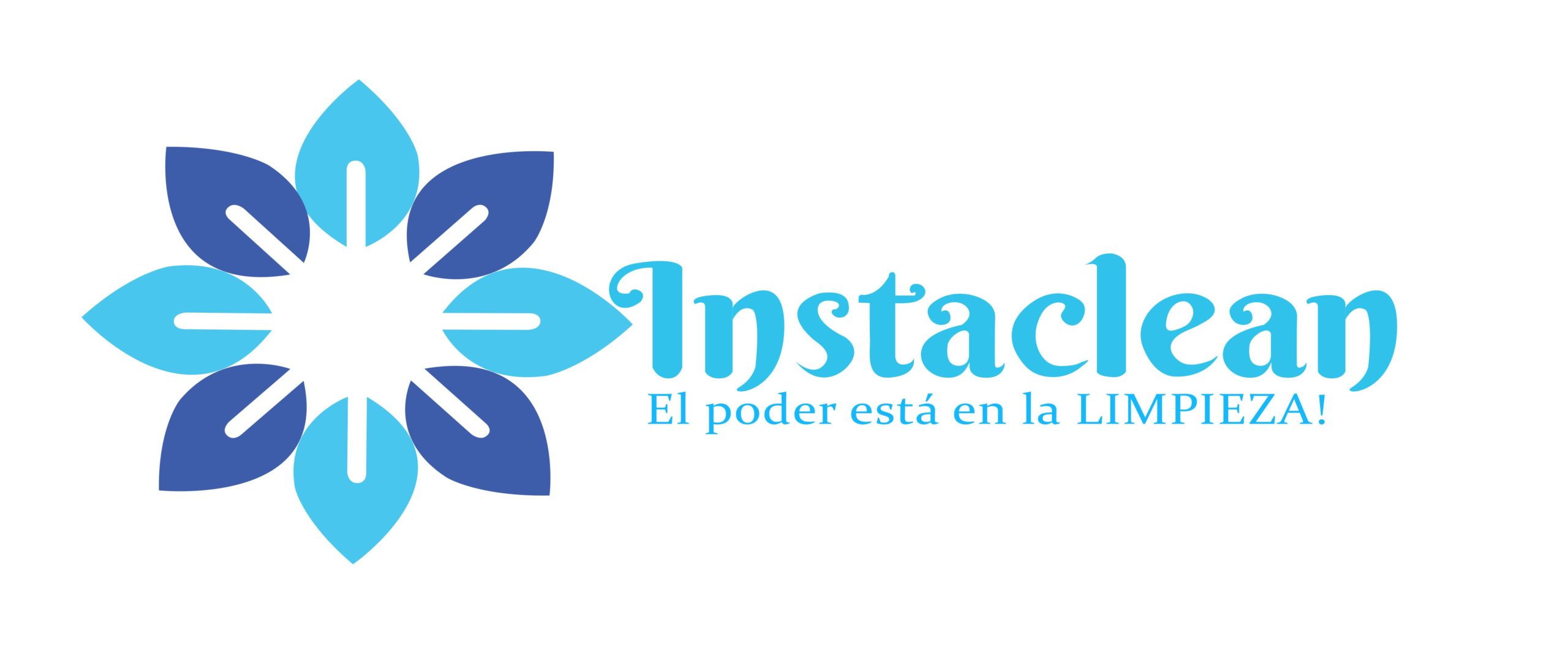 Instaclean Company